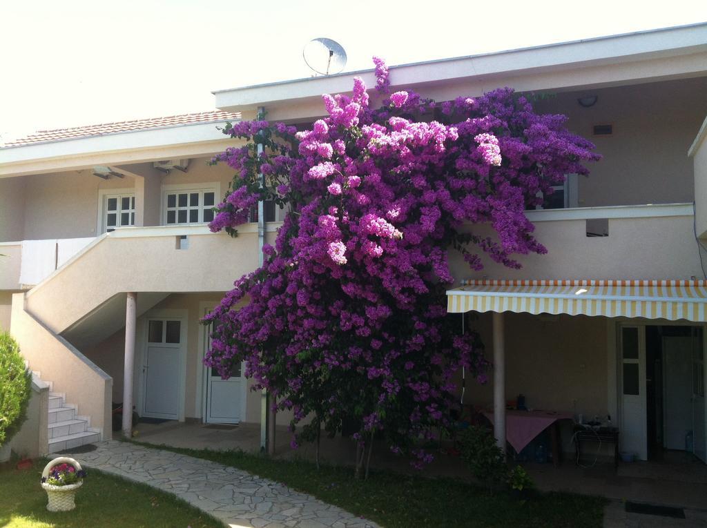 Apartments Ada Bojana Ulcinj Cameră foto